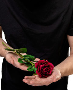 man with red rose in hands. valentine day love beautiful. Copy space